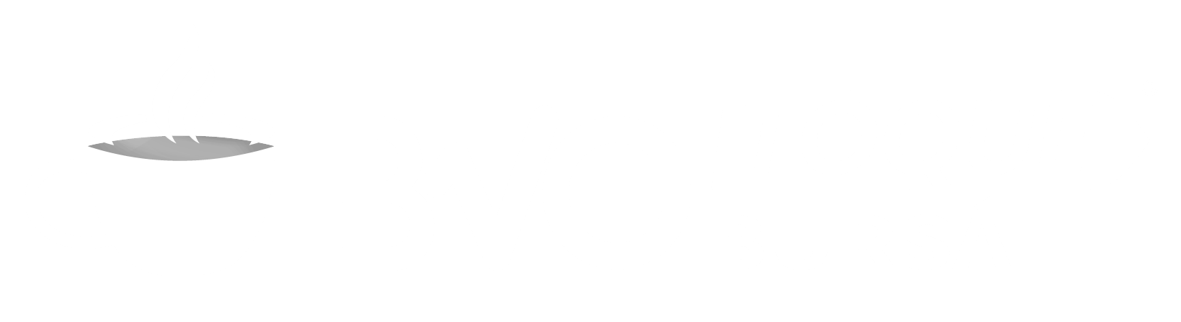BVG Logo